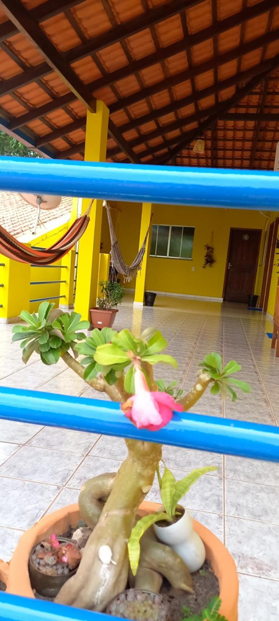 Casa Da Vila - Hospedaria - 3 Min Do Centrinho De Alter Alter do Chão Exterior foto